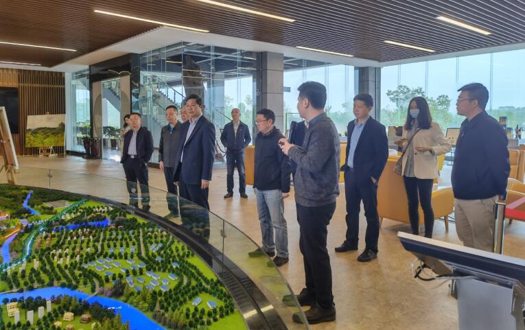 广西旅发集团党委书记、董事长容贤标考察集团文旅项目