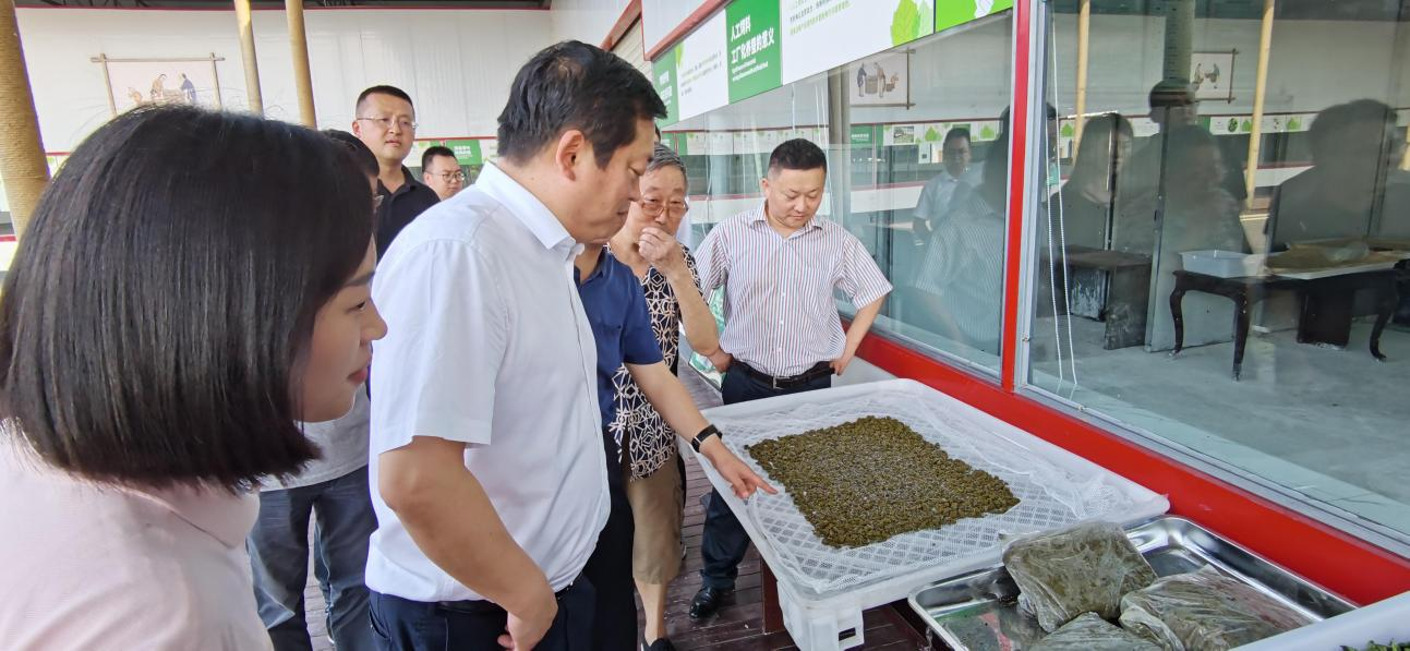 省尊龙凯时集团党委副书记、董事陈日赴嘉陵区调研茶桑产业发展情况