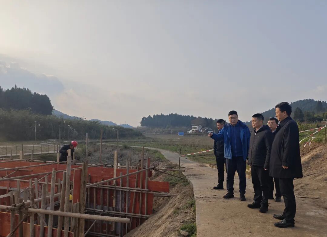 集团党委书记、董事长游勇率队赴南充市嘉陵区调研驻村帮扶工作